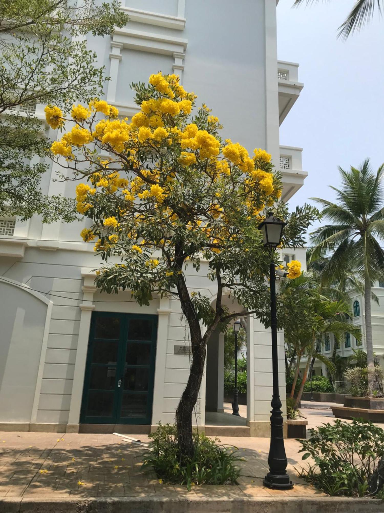 Kalia Hotel 富国 外观 照片